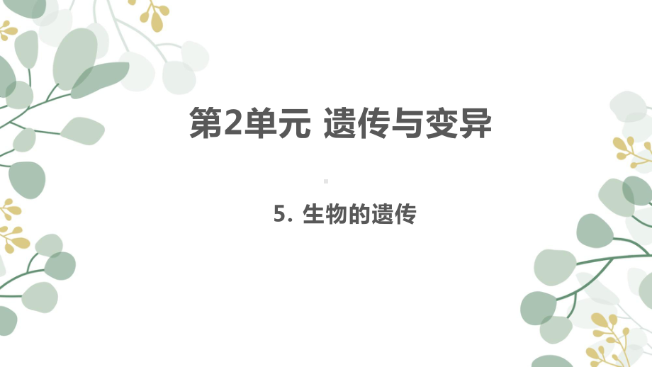 2021新苏教版六年级上册科学5生物的遗传ppt课件.ppt_第1页