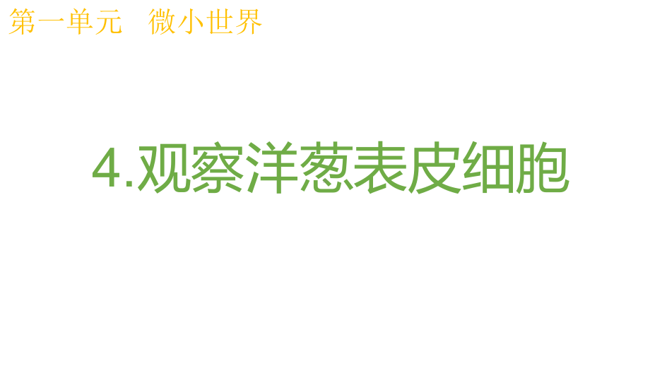 2021新教科版六年级上册科学1.4《观察洋葱表皮细胞》ppt课件 (2).pptx_第2页