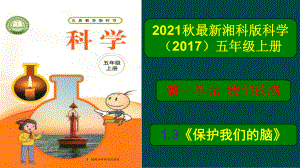 2021新湘科版五年级上册科学1.3《保护我们的脑》PPT课件.pptx