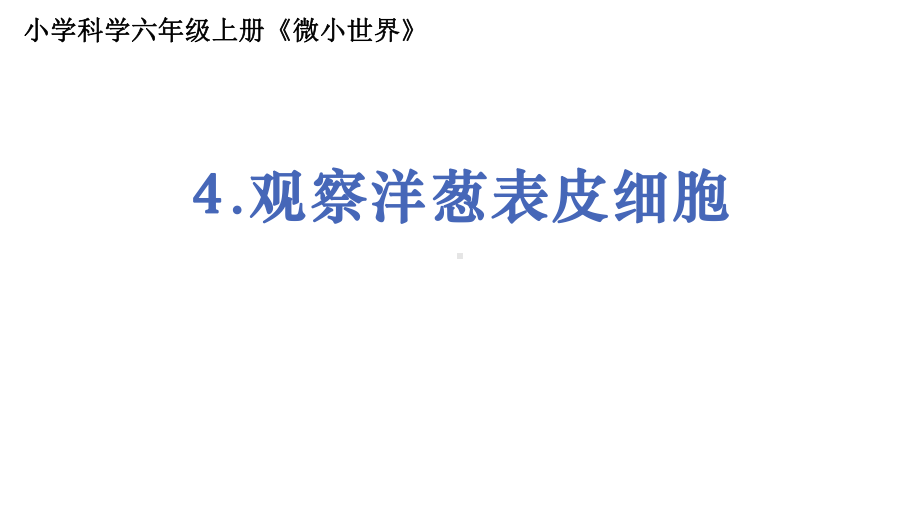 2021新教科版六年级上册科学1.4《观察洋葱表皮细胞》ppt课件.pptx_第1页