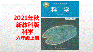 2021新教科版六年级上册科学1.6观察水中微小的生物ppt课件.pptx