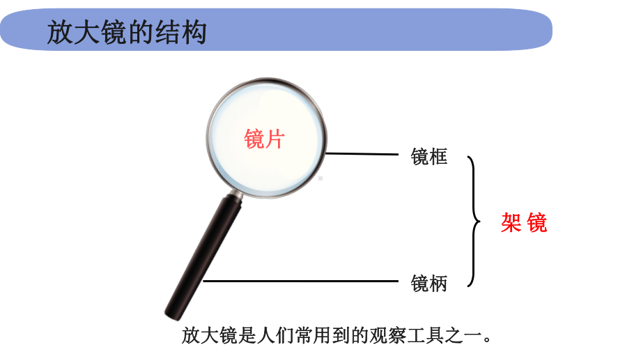 2021新教科版六年级上册科学1.1放大镜ppt课件.pptx_第2页