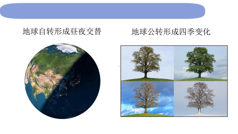 2021新教科版六年级上册科学2.7《昼夜和四季变化对生物的影响》 ppt课件.pptx_第2页