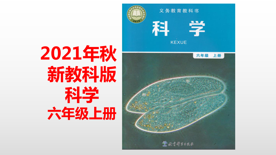 2021新教科版六年级上册科学1.3 观察身边微小的物体 ppt课件 (2).pptx_第1页