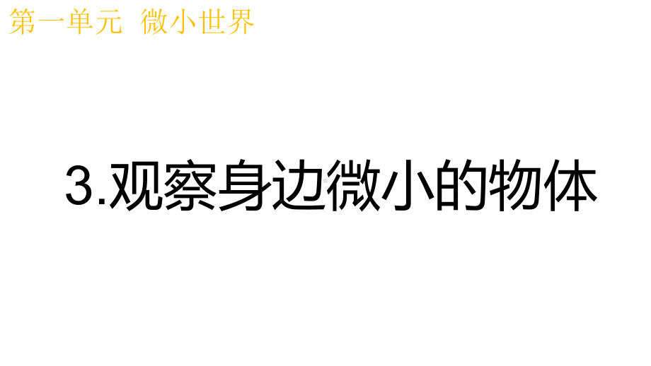 2021新教科版六年级上册科学1.3 观察身边微小的物体 ppt课件 (2).pptx_第2页