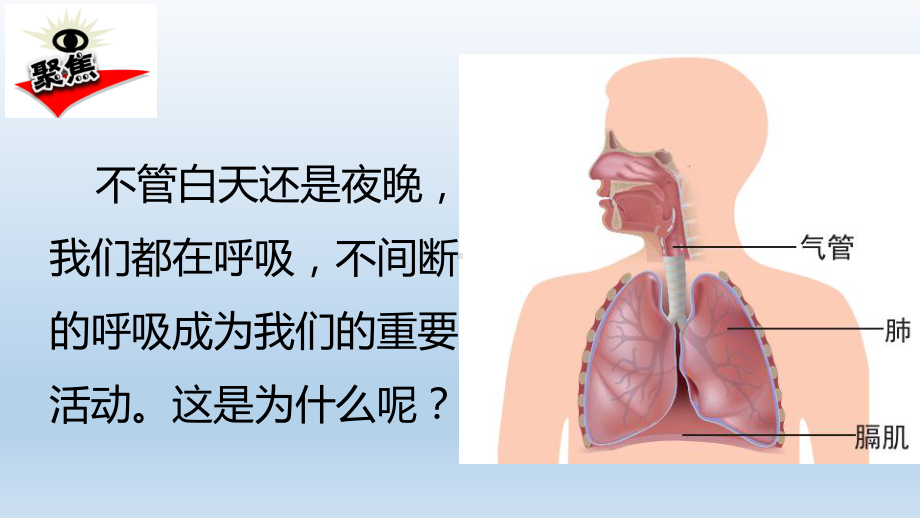 小学科学教科版四年级上册第二单元第1课《感受我们的呼吸》课件9（2021新版）.pptx_第2页