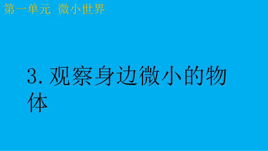 小学科学教科版六年级上册第一单元第3课《观察身边微小的物体》课件9（2021新版）.pptx_第1页