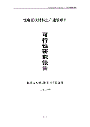 锂电正极材料生产项目可行性研究报告-立项方案.doc