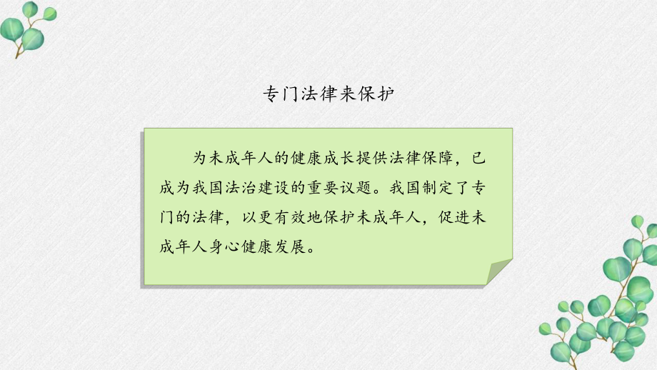 部编版六年级道德与法治上册《专门法律来保护》PPT课件.pptx_第2页