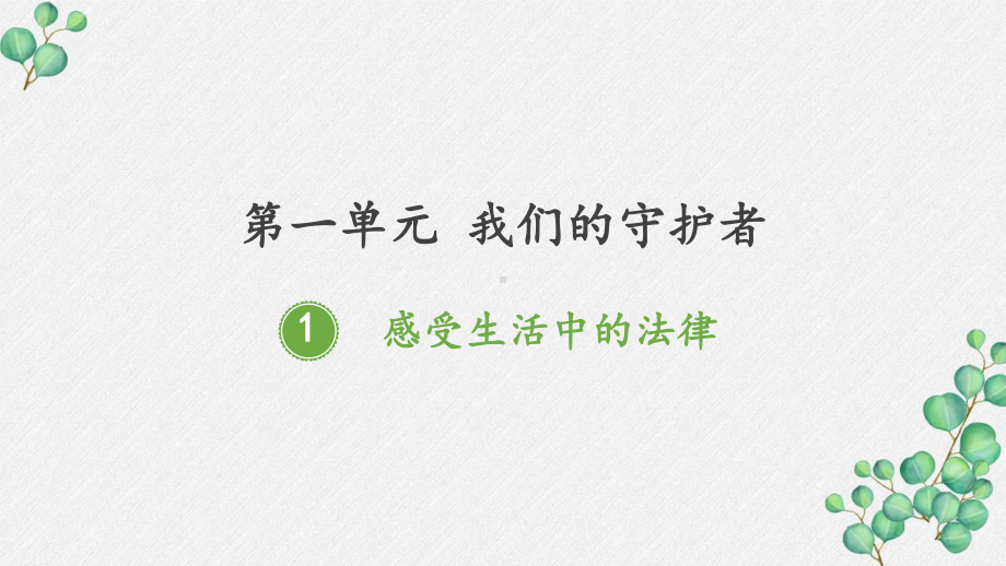 部编版六年级道德与法治上册《感受生活中的法律》PPT课件.pptx_第1页