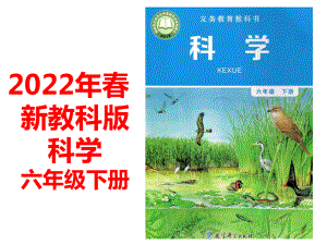 2022新教科版六年级下册科学 2.3形形色色的植物ppt课件（含练习共30张PPT).pptx