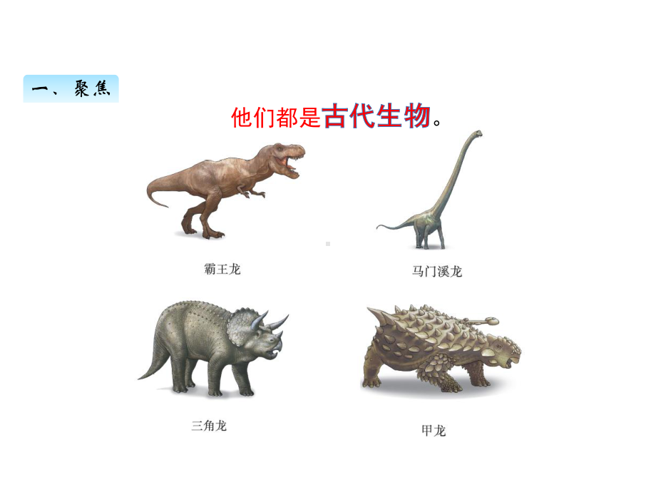 2022新教科版六年级下册科学 2.6古代生物的多样性ppt课件（含练习共32张PPT).pptx_第3页