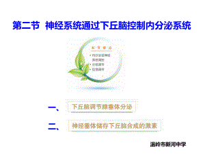 3.2神经系统通过下丘脑控制内分泌系统 ppt课件-（新教材）2019新浙科版高中生物选择性必修1 .pptx