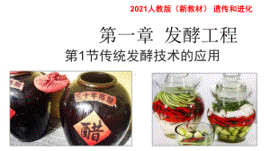 1.1 传统发酵技术的应用 ppt课件-（新教材）2019新人教版高中生物选择性必修三.pptx