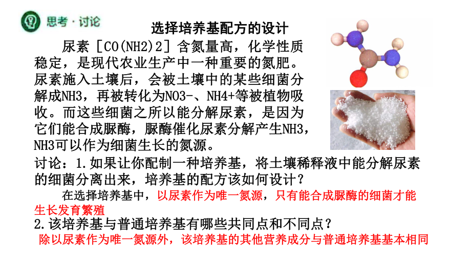 1.2.2 微生物的选择培养和计数 ppt课件-（新教材）2019新人教版高中生物选择性必修三（共17张PPT）.pptx_第3页