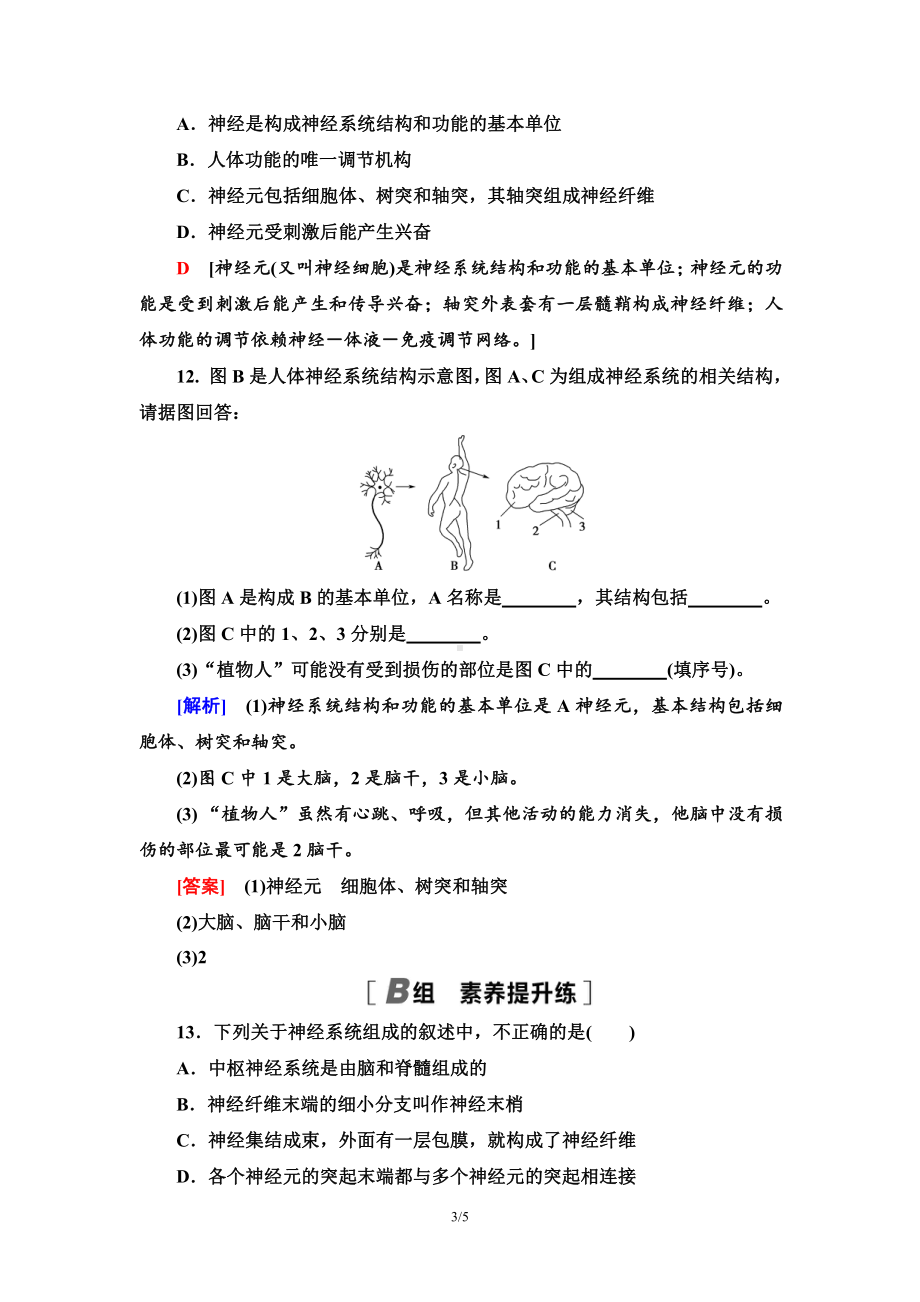 3　神经调节的结构基础 课时作业-（新教材）2019新人教版高中生物选择性必修一.doc_第3页