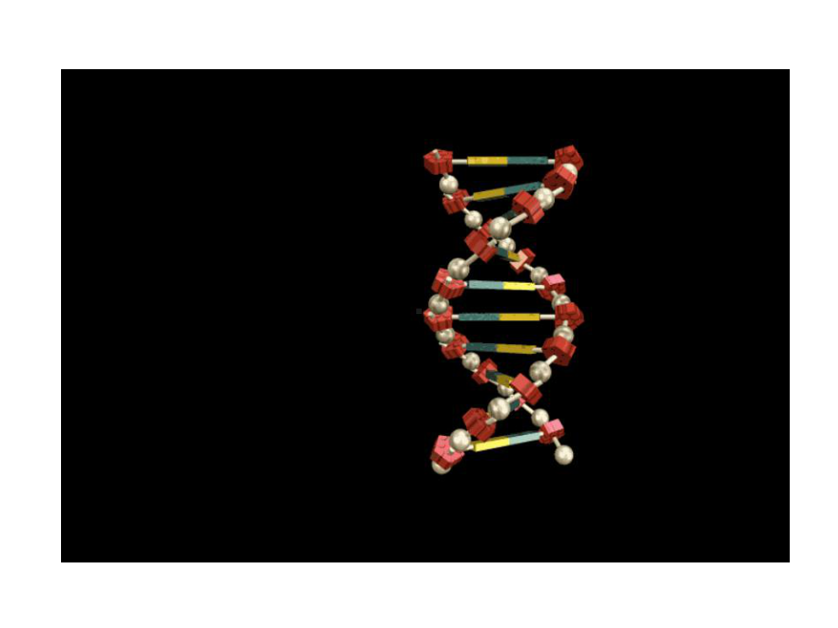 2.2DNA分子的结构 ppt课件-（新教材）2019新苏教版高中生物必修二.pptx_第3页