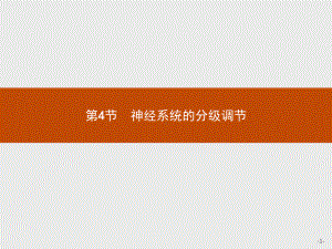 2.4 神经系统的分级调节 ppt课件-（新教材）2019新人教版高中生物选择性必修一(共26张PPT).pptx