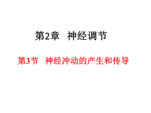 2.3 神经冲动的产生和传导ppt课件-（新教材）2019新人教版高中生物选择性必修一.pptx