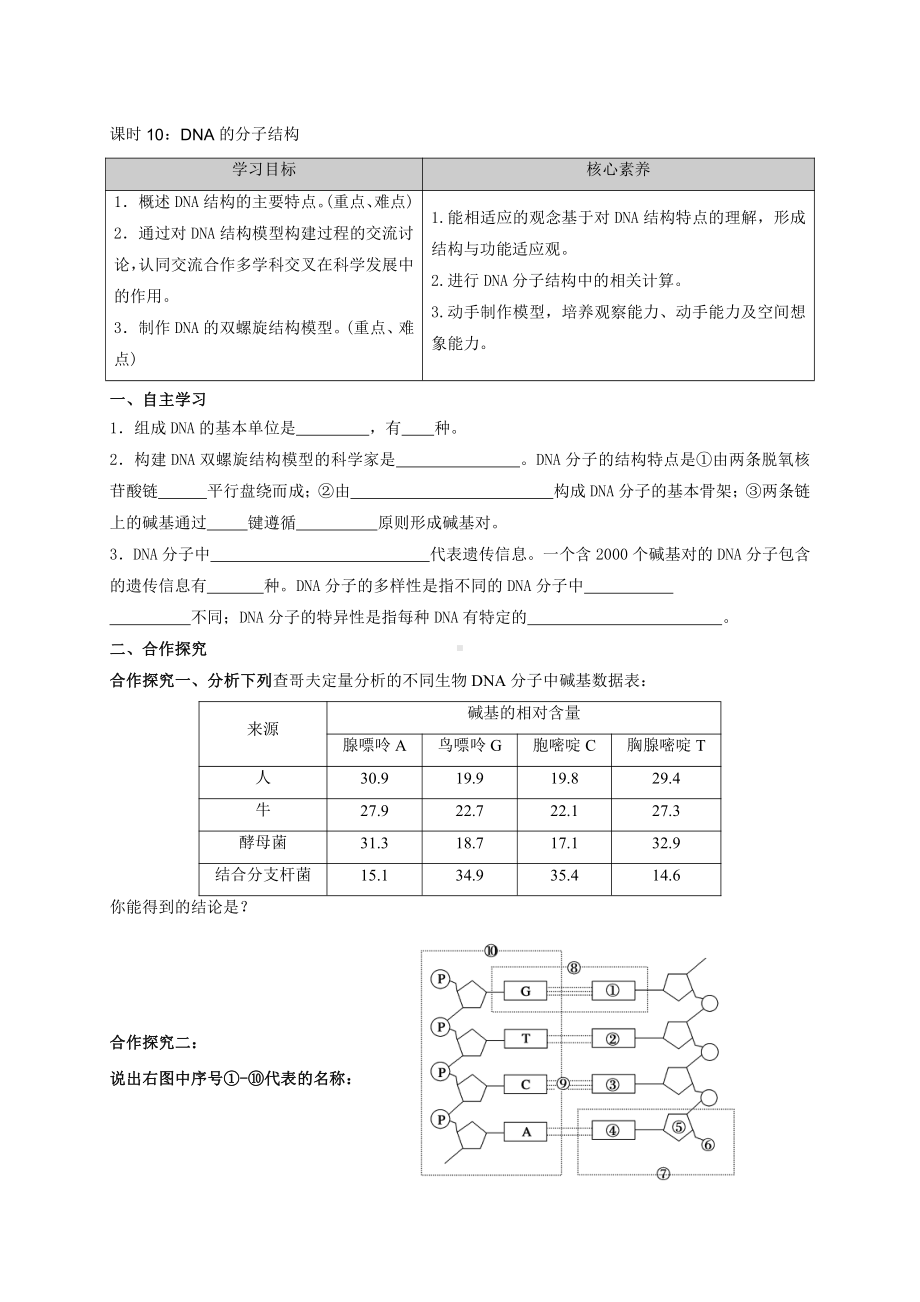 2.2DNA的分子结构 学案-（新教材）2019新苏教版高中生物必修二.doc_第1页