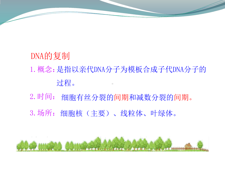 2.2DNA分子的复制 ppt课件-（新教材）2019新苏教版高中生物必修二.pptx_第3页