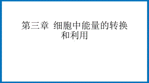 3.3细胞呼吸 ppt课件-（新教材）2019新苏教版高中生物必修一.pptx