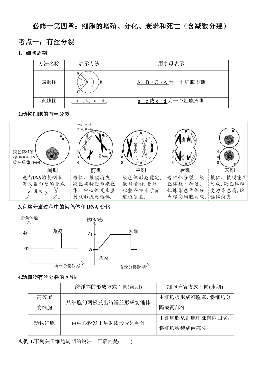 必修一第四章 细胞的增殖、分化、衰老和死亡（含减数分裂）考点梳理+典例练习-（新教材）2019新苏教版高中生物必修一.doc_第1页