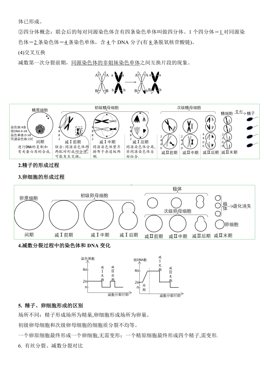 必修一第四章 细胞的增殖、分化、衰老和死亡（含减数分裂）考点梳理+典例练习-（新教材）2019新苏教版高中生物必修一.doc_第3页