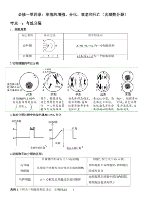 必修一第四章 细胞的增殖、分化、衰老和死亡（含减数分裂）考点梳理+典例练习-（新教材）2019新苏教版高中生物必修一.doc