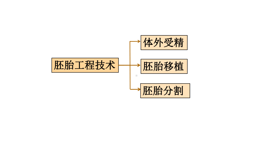 2.3.2 胚胎工程技术及其应用 ppt课件-（新教材）2019新人教版高中生物选择性必修三（共13张PPT）.pptx_第2页