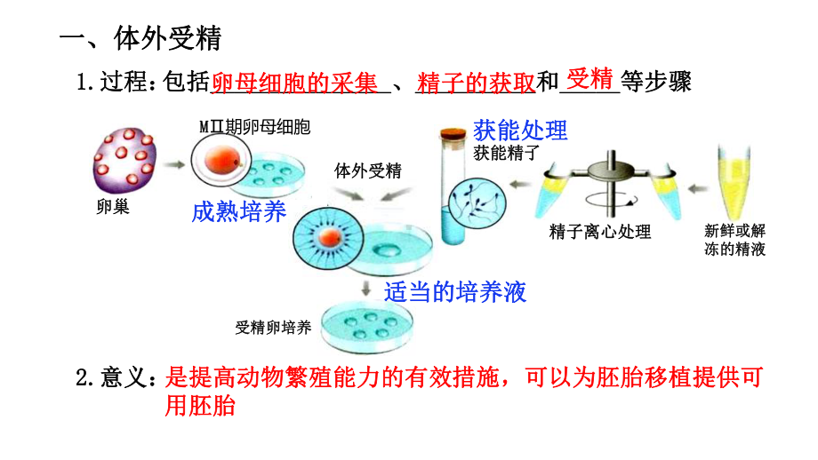 2.3.2 胚胎工程技术及其应用 ppt课件-（新教材）2019新人教版高中生物选择性必修三（共13张PPT）.pptx_第3页