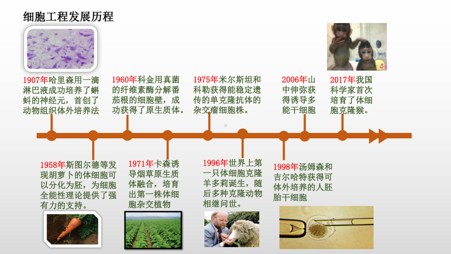 2.1.1植物细胞工程ppt课件-（新教材）2019新人教版高中生物选择性必修三.pptx_第2页