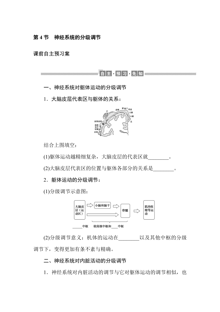 2.4 神经系统的分级调节 学案-（新教材）2019新人教版高中生物选择性必修一.doc_第1页