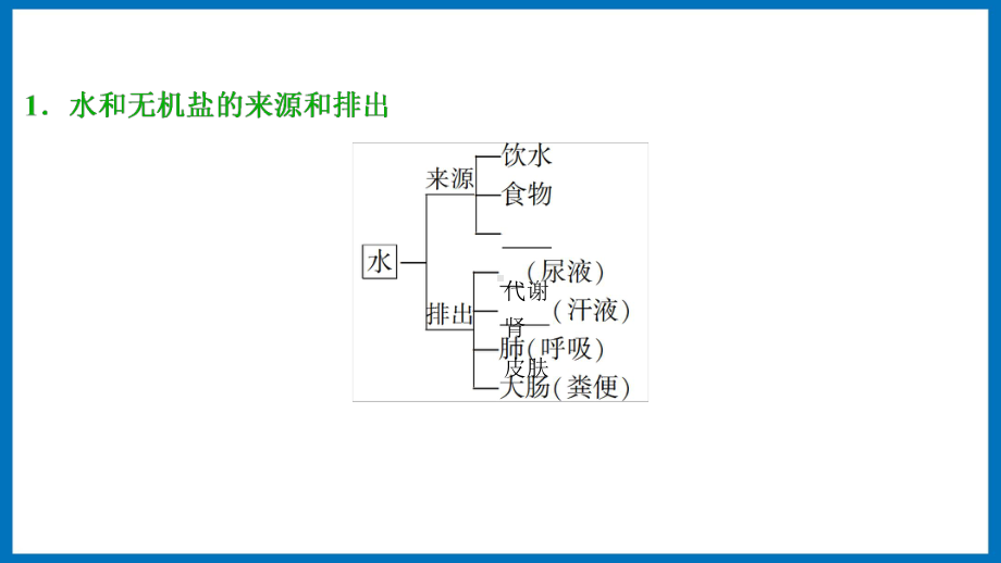 第二章课时4 水盐平衡调节 ppt课件-（新教材）2019新苏教版高中生物选修性必修一.pptx_第3页