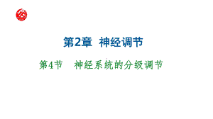 2.4 神经系统的分级调节 ppt课件-（新教材）2019新人教版高中生物选择性必修一.pptx