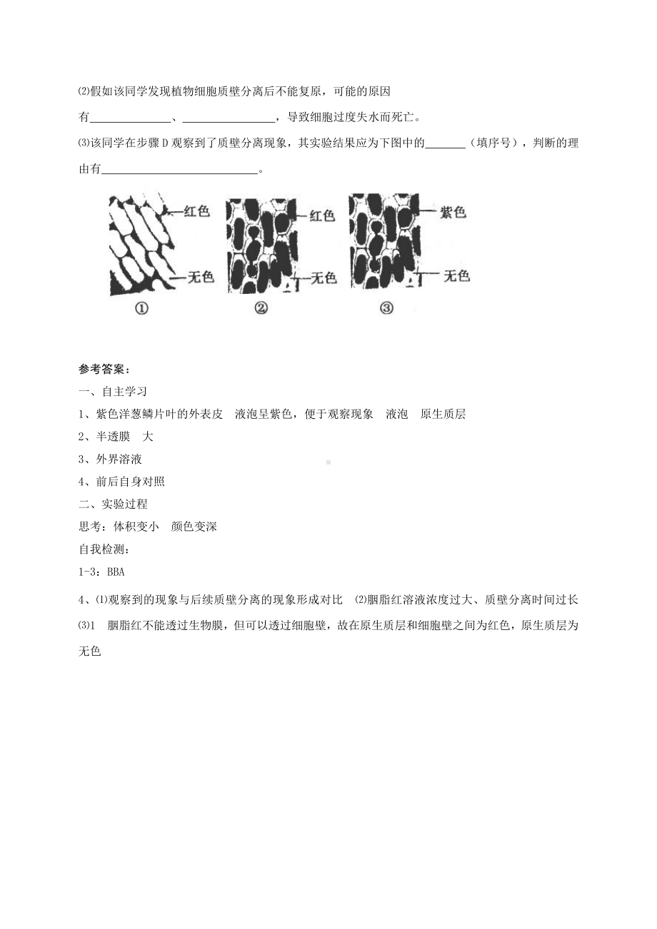 第2章课时12 观察植物细胞的质壁分离和复原现象 学案-（新教材）2019新苏教版高中生物必修一.doc_第3页