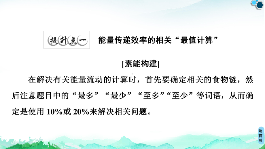 第3章 素能提升课能量流动的相关计算 ppt课件-（新教材）2019新人教版高中生物选择性必修二.ppt_第2页