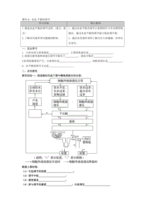 第二章课时4 水盐平衡的调节 学案-（新教材）2019新苏教版高中生物选修性必修一.doc