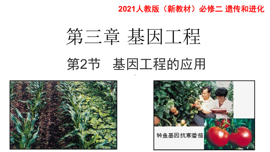 3.3基因工程的应用 ppt课件-（新教材）2019新人教版高中生物选择性必修三.pptx_第1页