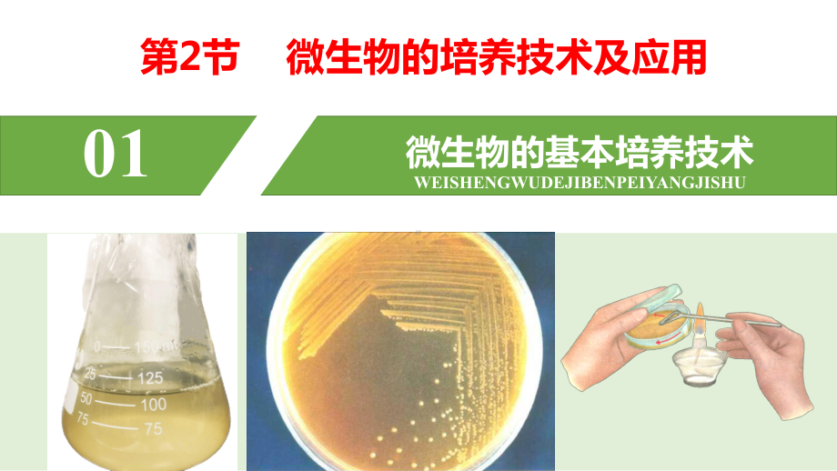 1.2.1微生物的培养技术及应用ppt课件-（新教材）2019新人教版高中生物选择性必修三.pptx_第1页