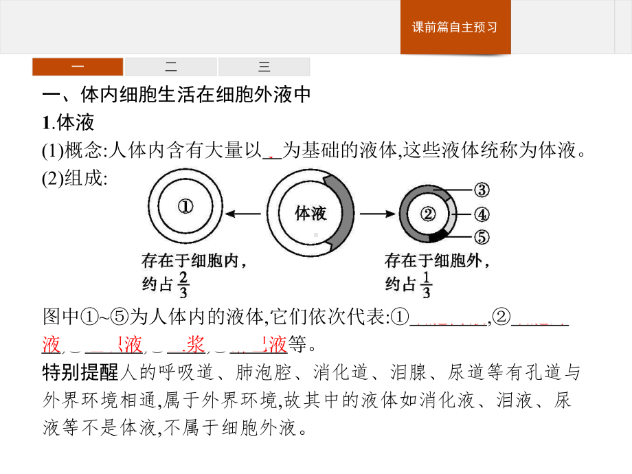 1.1 细胞生活的环境 ppt课件-（新教材）2019新人教版高中生物选择性必修一(共44张PPT).pptx_第3页