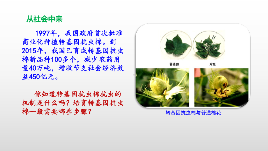 3.2 基因工程的基本操作程序ppt课件-（新教材）2019新人教版高中生物选择性必修三.pptx_第2页