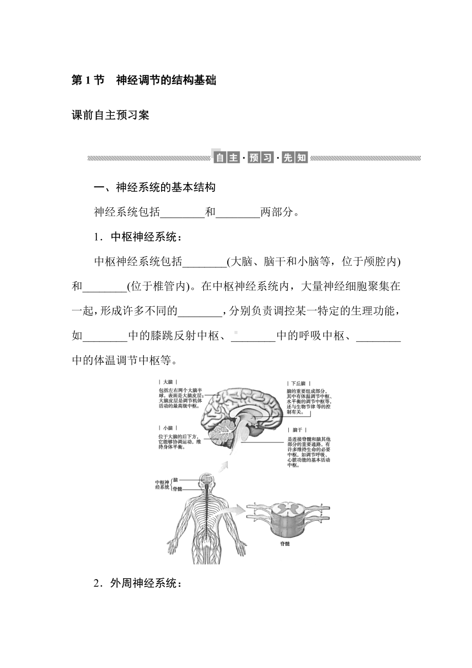 2.1 神经调节的结构基础 学案-（新教材）2019新人教版高中生物选择性必修一.doc_第1页