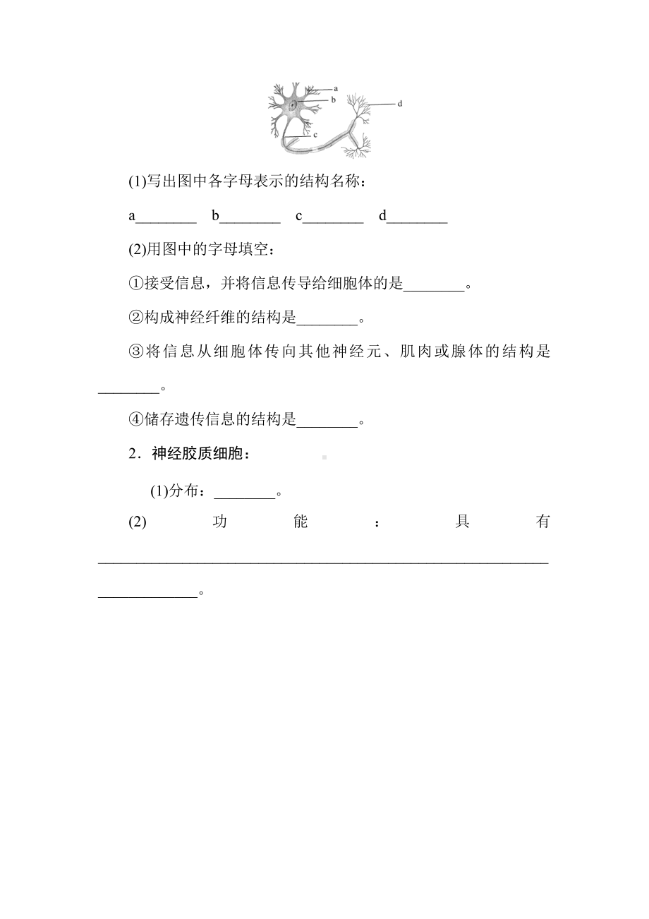 2.1 神经调节的结构基础 学案-（新教材）2019新人教版高中生物选择性必修一.doc_第3页