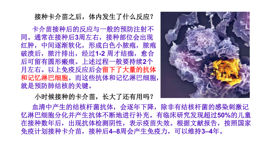 4.1 免疫系统的组成和功能 ppt课件-（新教材）2019新人教版高中生物选择性必修一.pptx_第3页