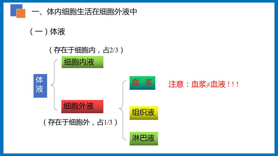 第二章课时1 内环境与稳态 细胞生活的环境 ppt课件-（新教材）2019新苏教版高中生物选修性必修一.pptx_第3页