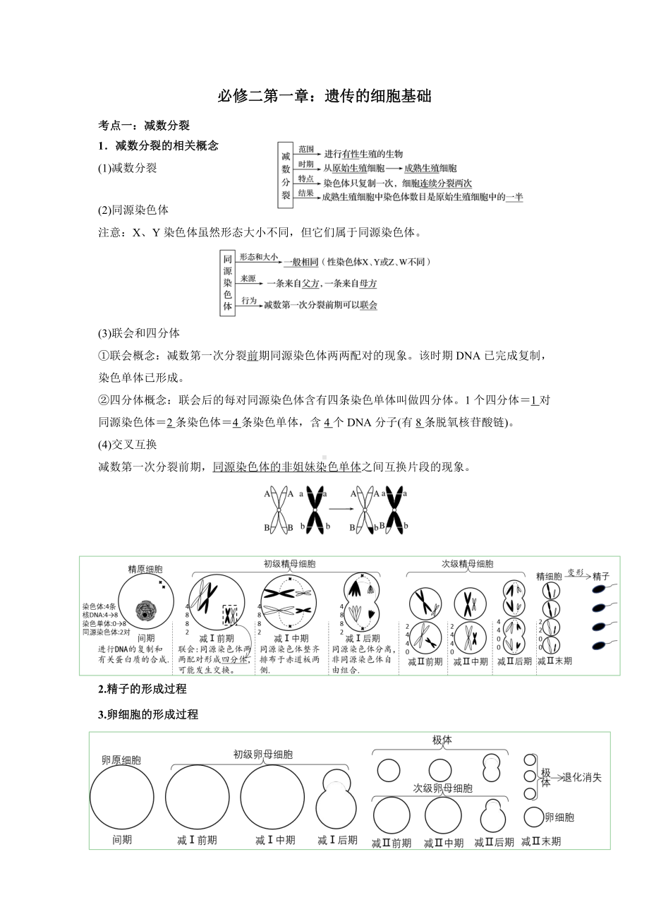 必修二第一章 遗传的细胞基础 考点梳理+典例练习-（新教材）2019新苏教版高中生物必修一.doc_第1页