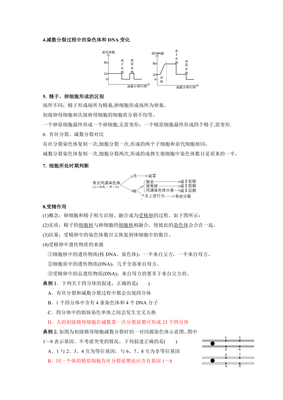 必修二第一章 遗传的细胞基础 考点梳理+典例练习-（新教材）2019新苏教版高中生物必修一.doc_第2页