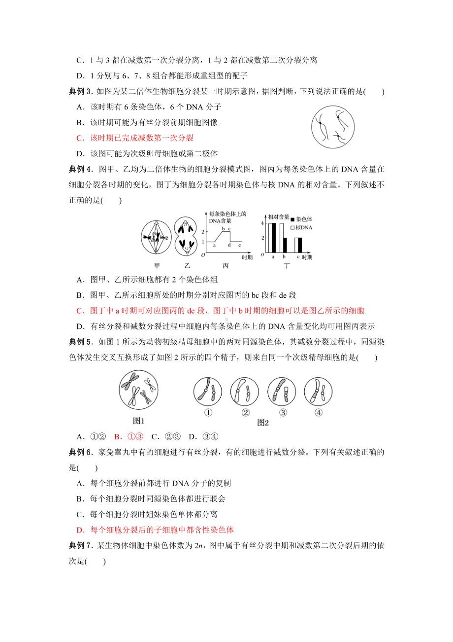 必修二第一章 遗传的细胞基础 考点梳理+典例练习-（新教材）2019新苏教版高中生物必修一.doc_第3页