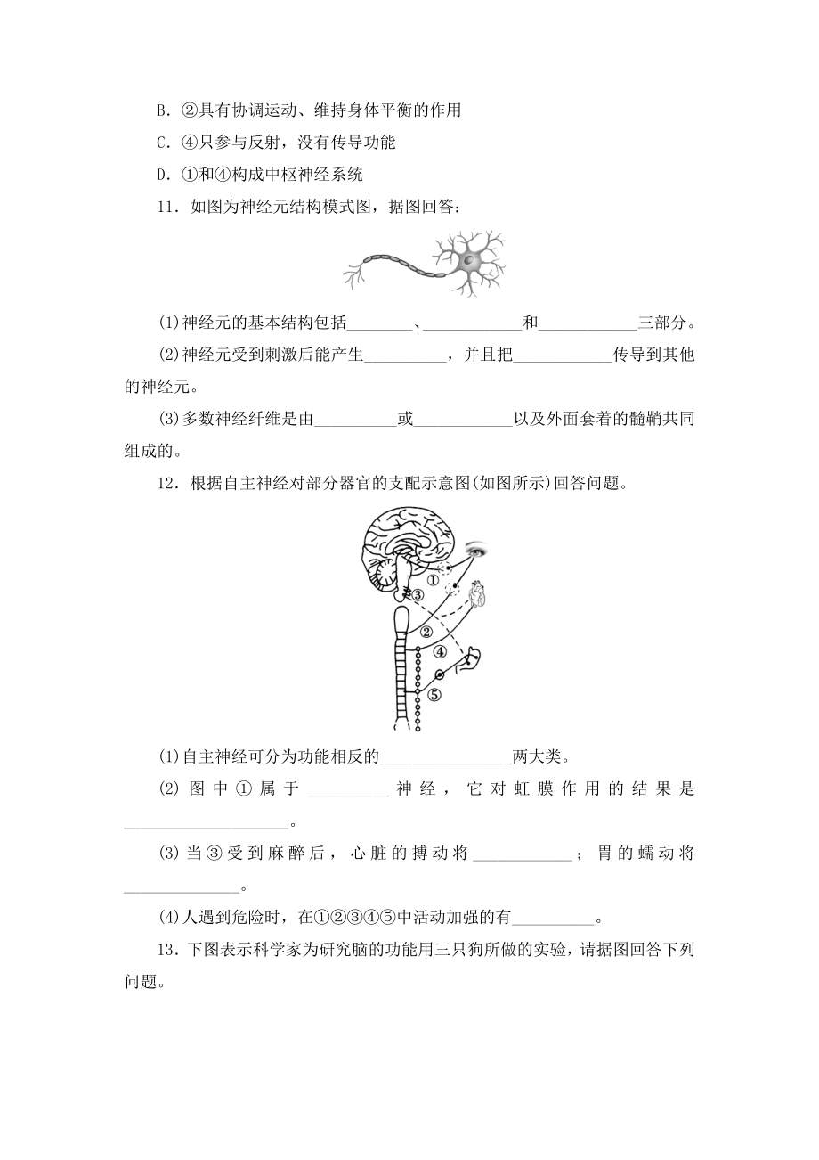 2.1神经调节的结构基础练习-（新教材）2019新人教版高中生物选择性必修一.doc_第3页